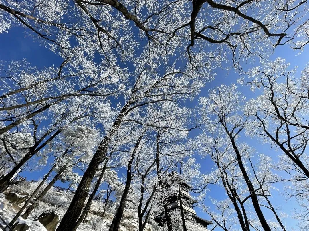 叮~您有一份来自天蒙的订单，请注意签收