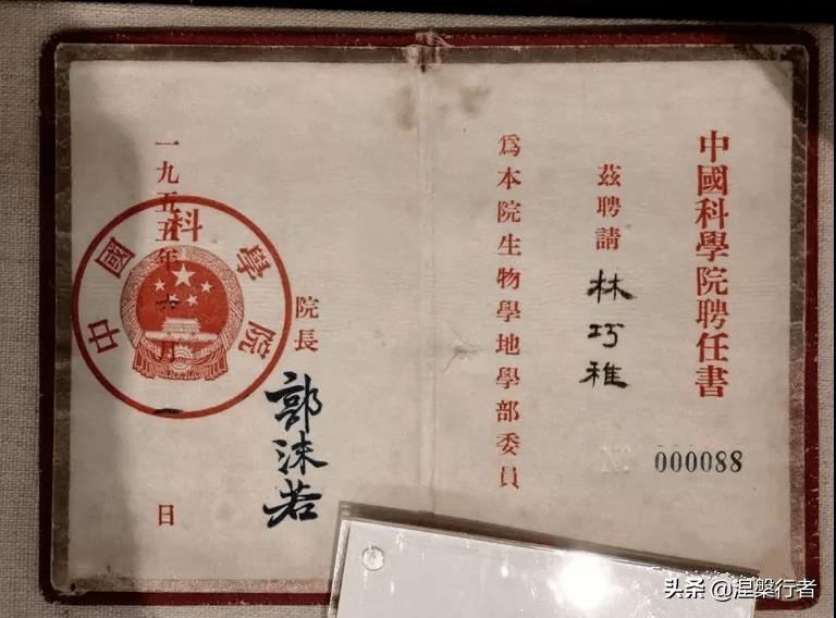 被誉为“万婴之母”，开创我国妇产科学事业，她是掉落人间的天使