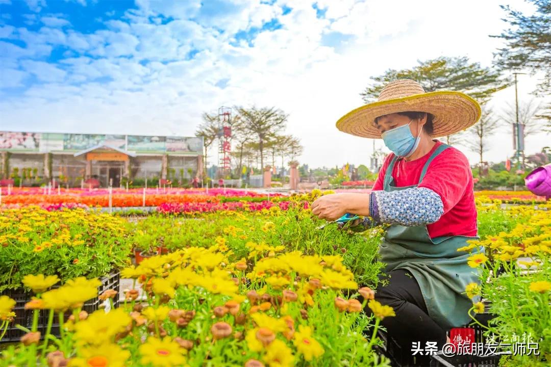 广州去佛山旅游攻略路线,广州到佛山旅游攻略一日游