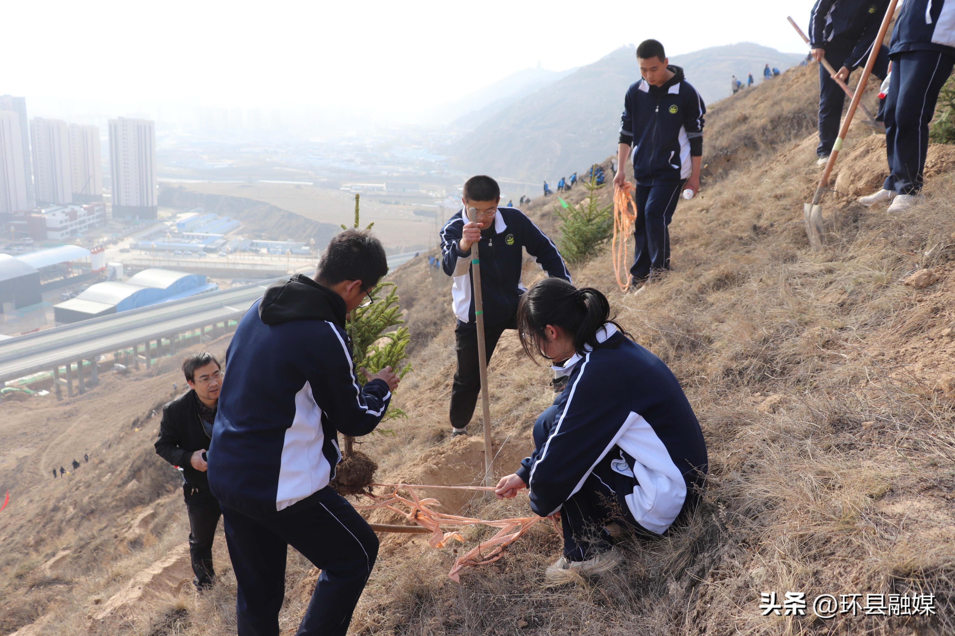 新县组织开展全民义务植树活动,积极开展植树增绿活动