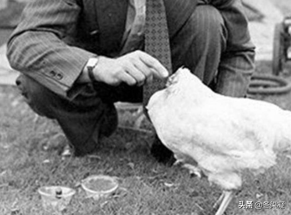 头被砍掉的一瞬间，人会觉得头掉了还是会觉得身体掉了？