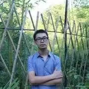 中国100位著名当代诗人,中国100位杰出诗人