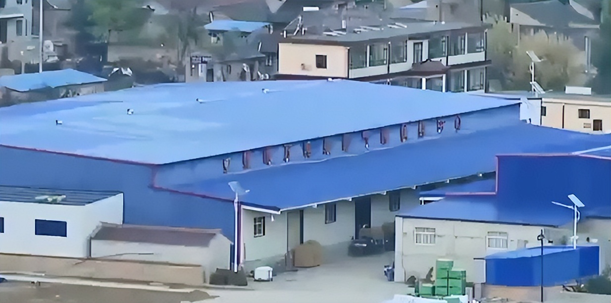 河北大叔遇天降横财，把各种水果种在花盆里，最贵一盆卖到几万元