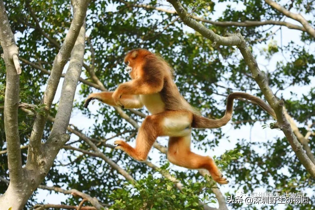 考完先别溜！优惠门票¥67.8，放松一“夏”！