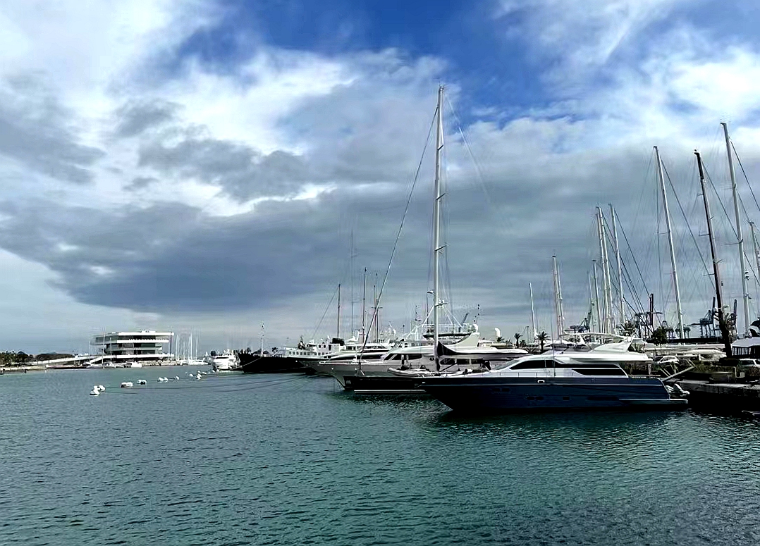 彩色旅图·西欧纪行｜瓦伦西亚的情人节，小贩在饭店外面卖鲜花