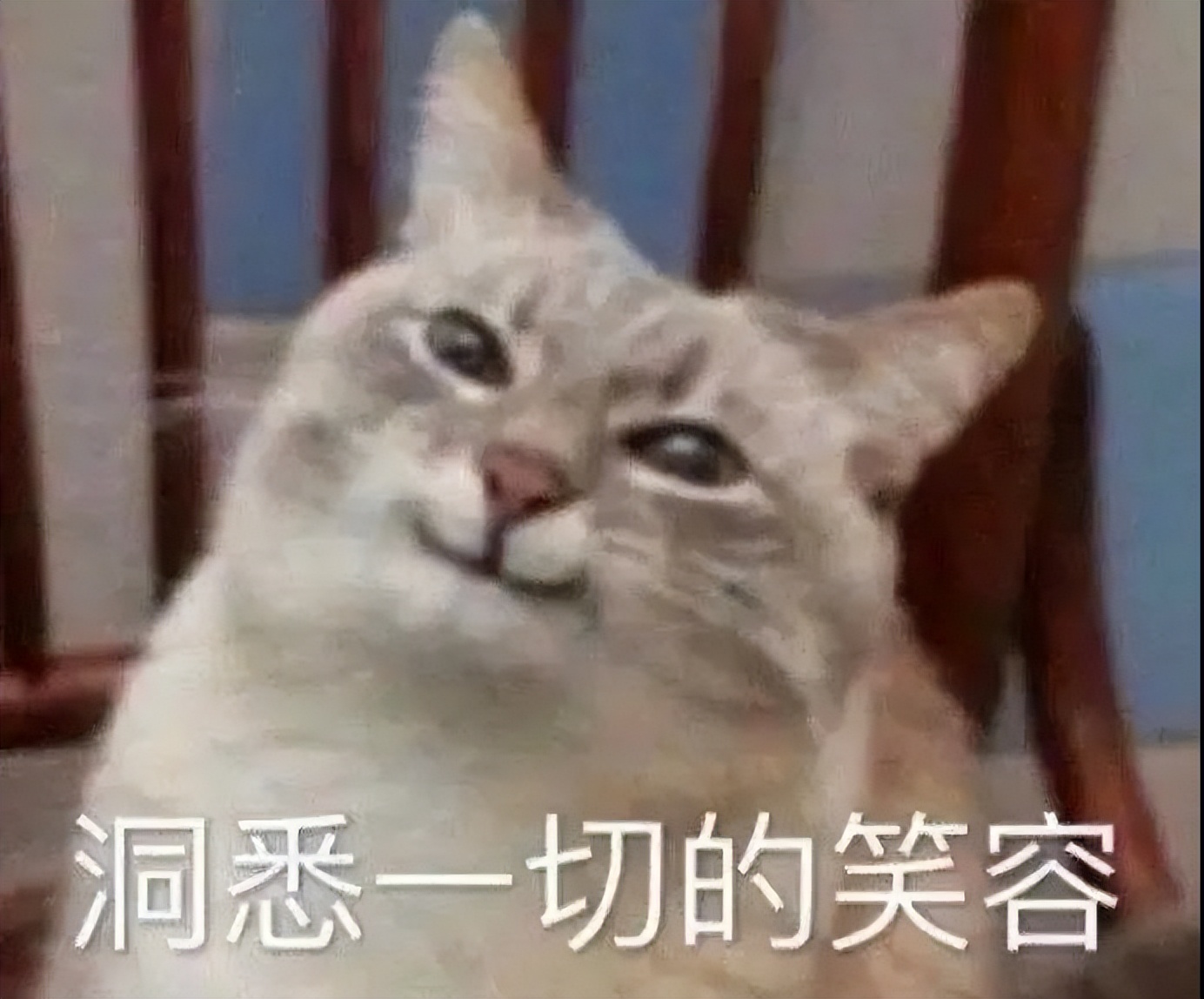 成考历年都是考什么题型,成考的考试难度及科目