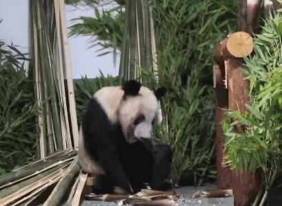 钉钉怎么拉新员工入职,钉钉新员工入职的正确方式