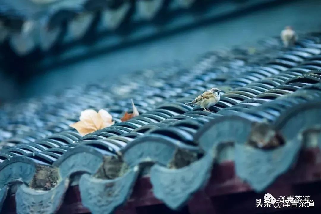 “自古名寺出名茶”，什么样的茶才能称为禅茶呢？