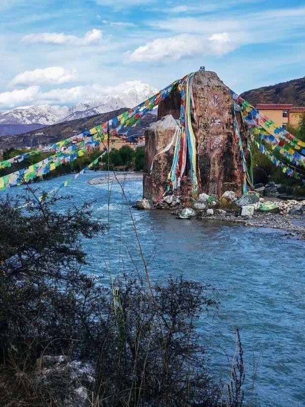 中科院微生物研究所发酵菌剂,中科院微生物研究所食用菌种