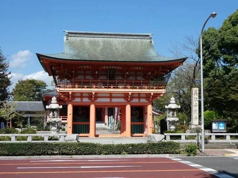 牡丹花开出日中友好情缘