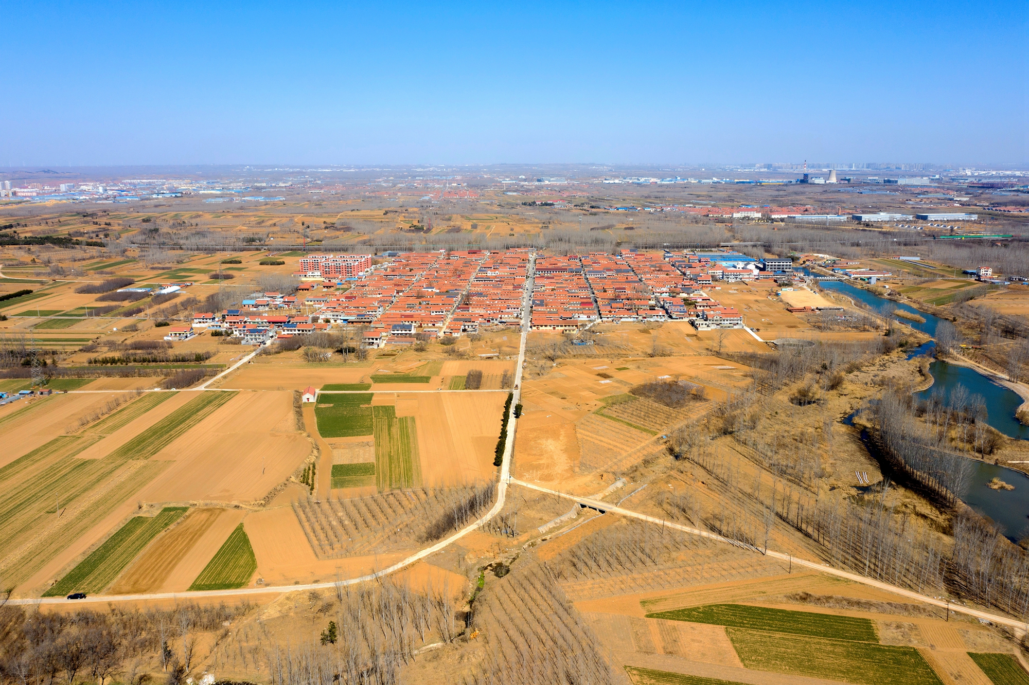 “云”上摄影展丨《徐村*光春**美人勤春来早》