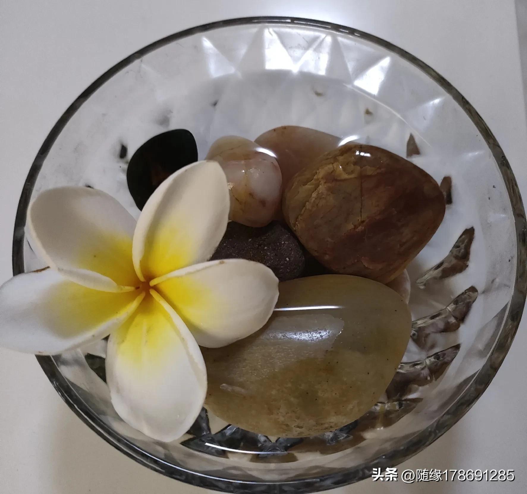 鸡蛋花开,又到了鸡蛋花开的季节