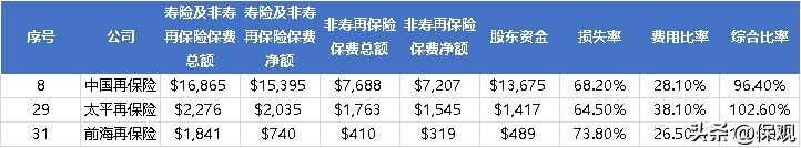 中国再保险公司,再保险公司