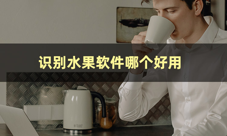 水果识别软件官方最新免费版,扫描图片识别水果的软件