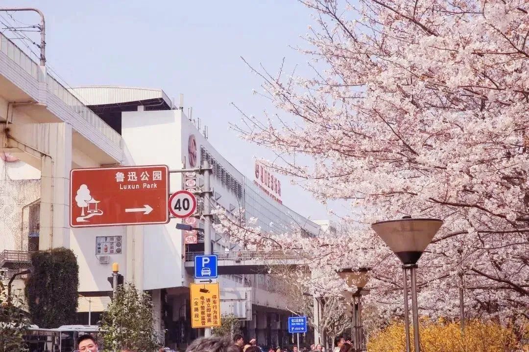 虹口体育场馆膜结构厂商,虹口体育场最新消息