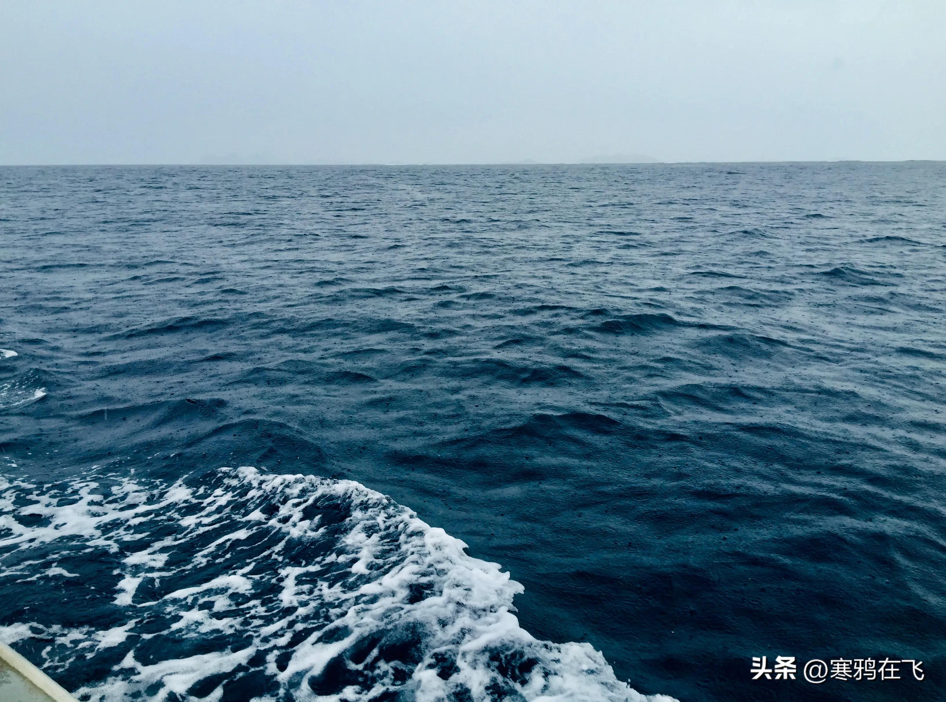 斐济黑珍珠属于什么级别,斐济黑珍珠