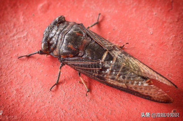 古代没有发明纸之前用什么擦,古代各个朝代用的纸