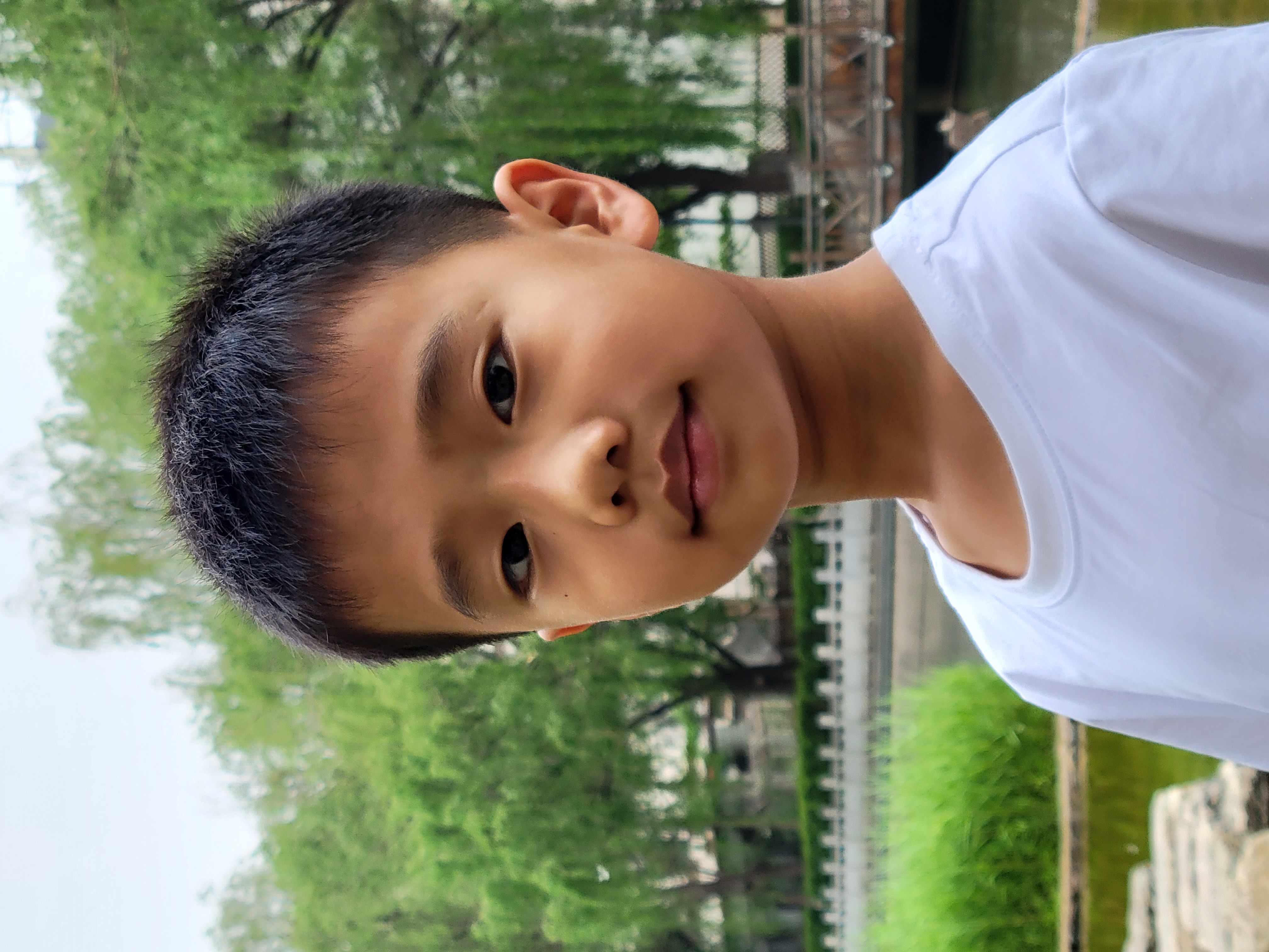 沈阳郎朗钢琴演出,沈阳郎朗钢琴演出免费