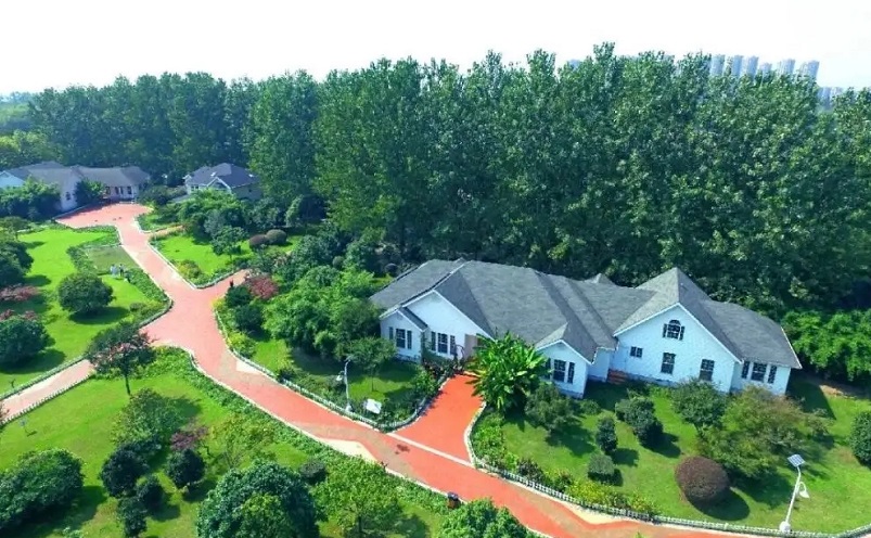 12月南京有哪些免费景点,南京市民免费旅游景点