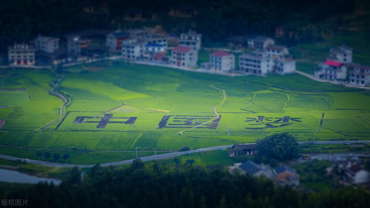 贵州村超联赛火出圈,贵州村超开启中国足球盛世模式