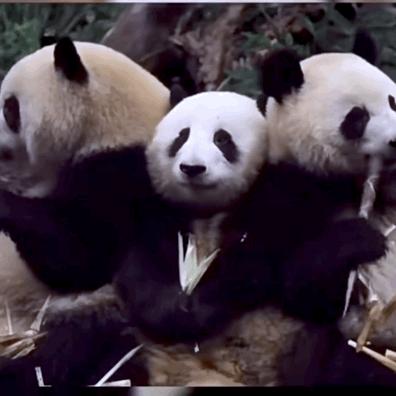 中国十大顶流女明星,顶流女明星穿越电视剧