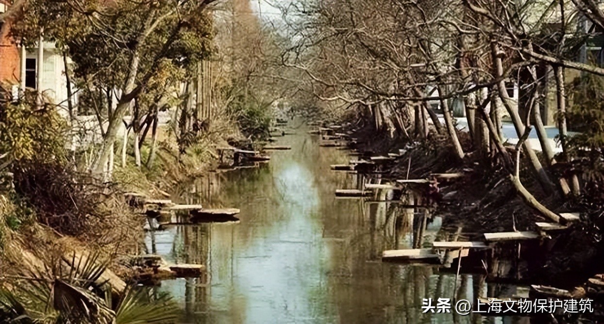 寻岛记,崇明岛的成长史