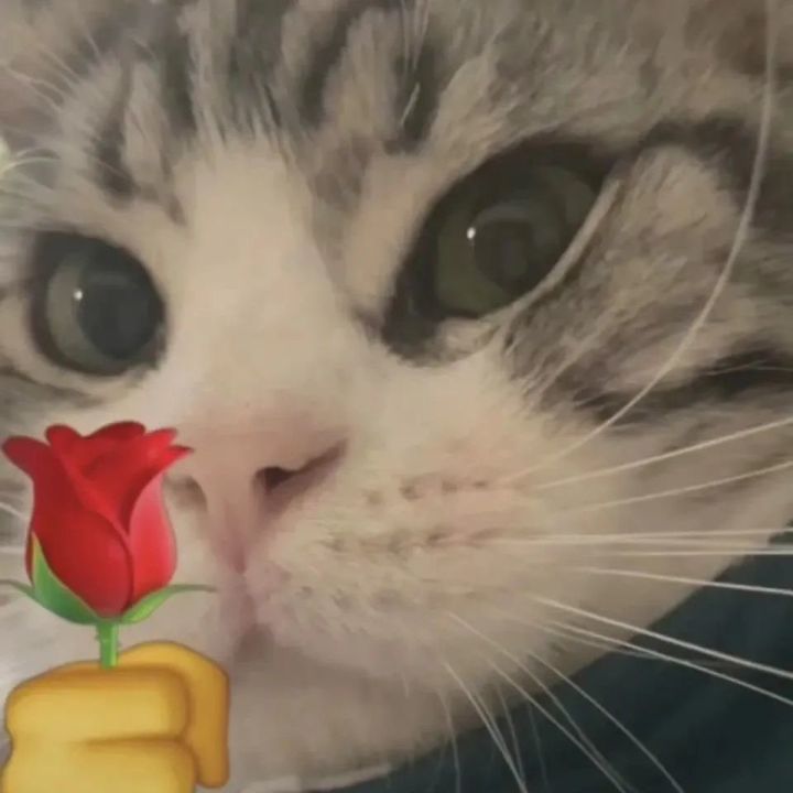 贩剑表情包评论区,贩剑表情包不回消息