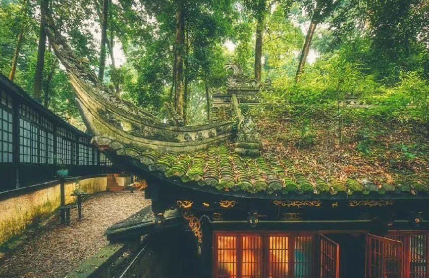 形容孤独寂寞的诗词句子,耐得住寂寞的经典诗词