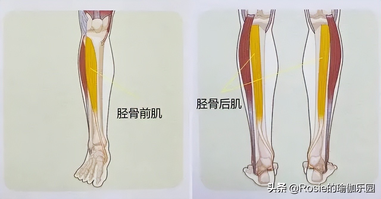 vivi练操前后对比,vivi臀部训练一个月