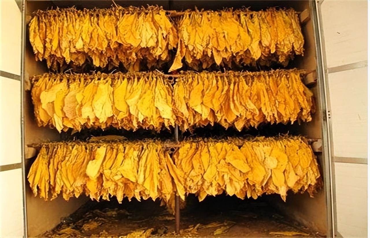 世界上唯一一个禁烟的国家，吸烟罚款，私带*草烟**入狱三年