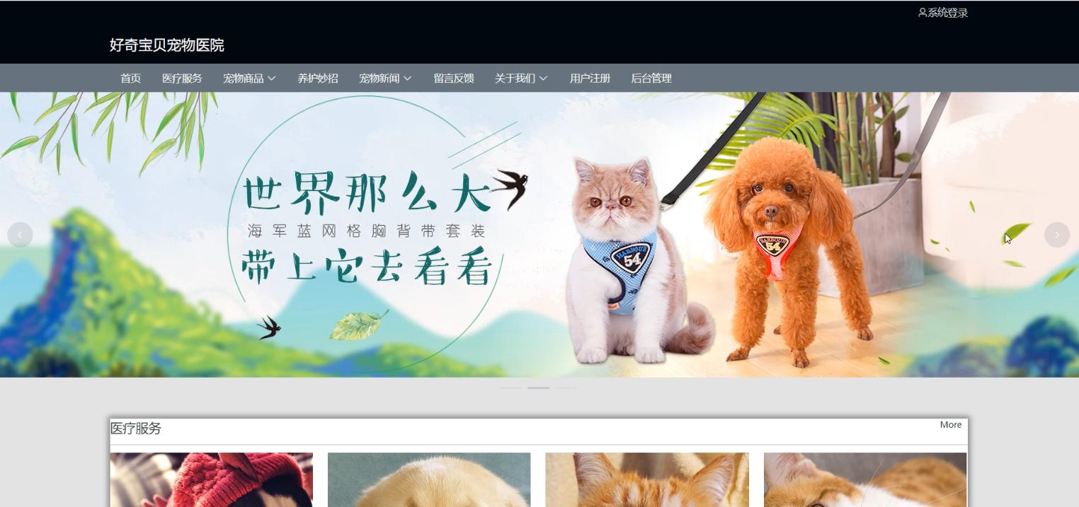 springboot新冠疫情管理系统源码,springboot宠物医院项目实战