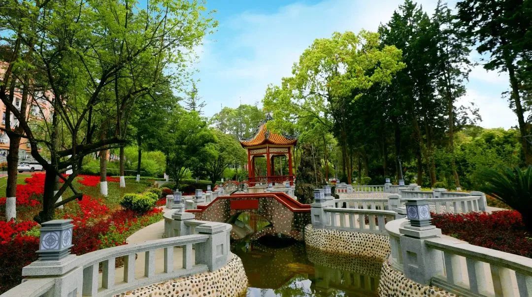 美翻了，四川高职院校风景如画，在这读书好巴适！