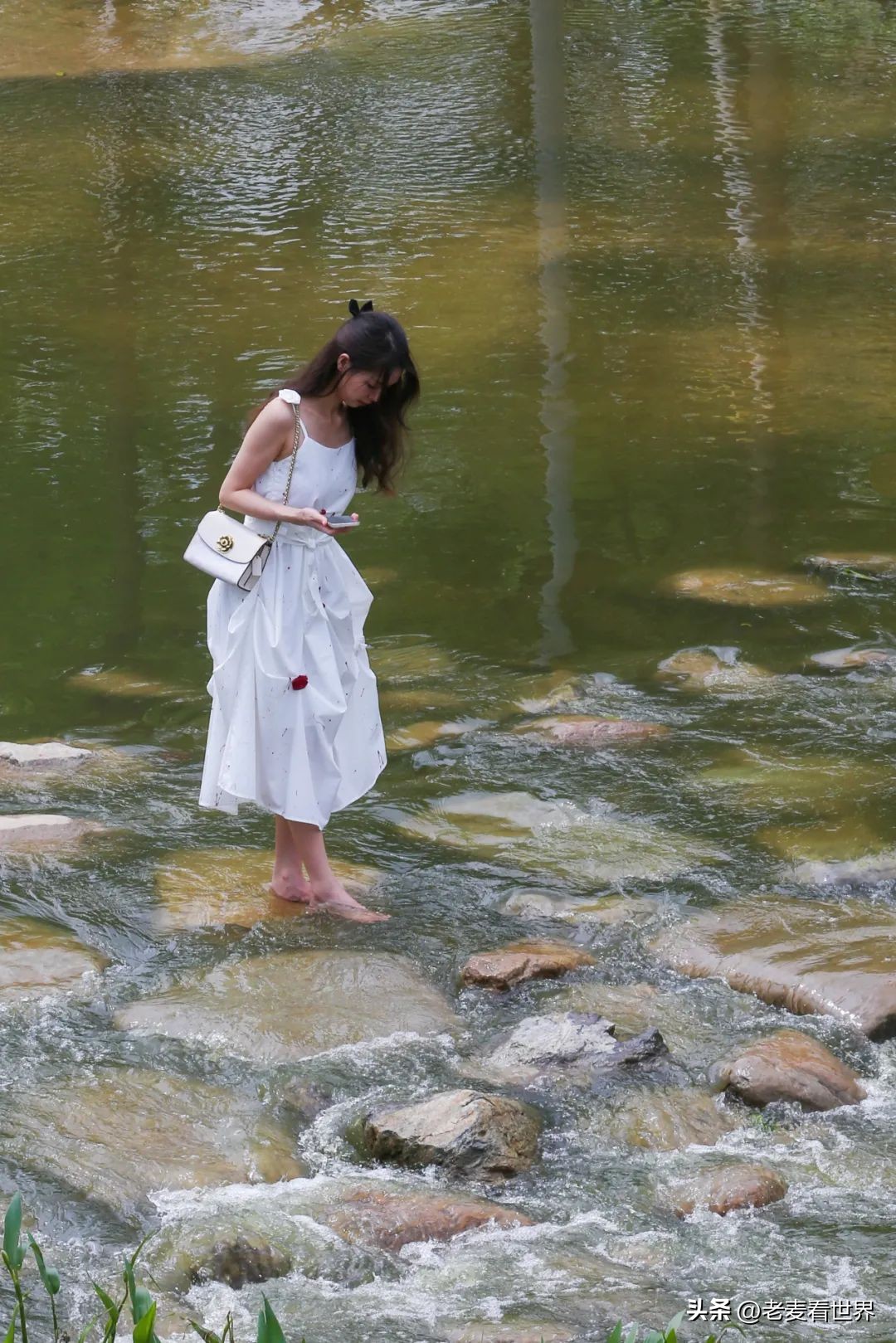 东莞中心公园怎么玩？最全攻略助你通关！五一打卡必备