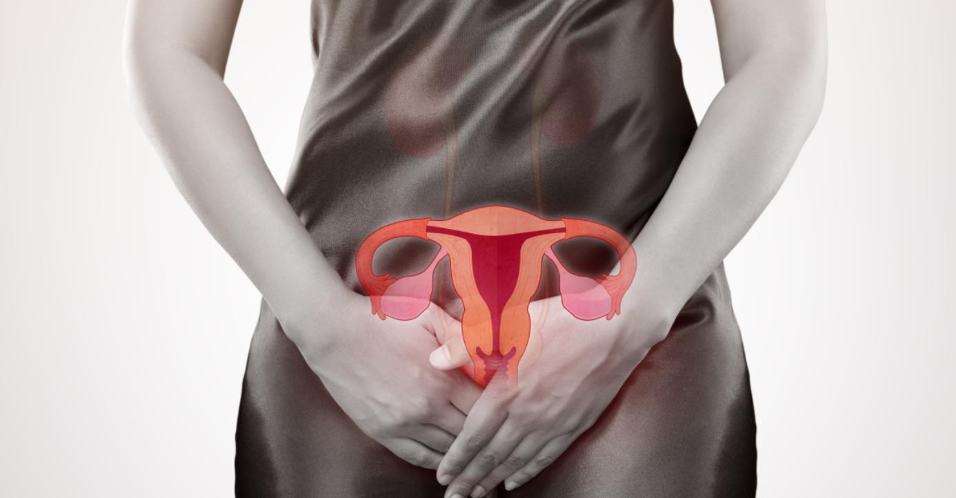 我搬进了低价公寓，洗澡时忘记带毛巾，用了房东提供的，染上阴虱