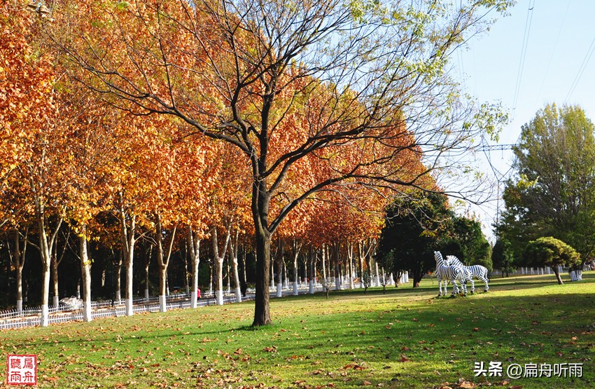 7月郑州凉快遛娃公园排行榜,郑州龙子湖避暑遛娃的地方