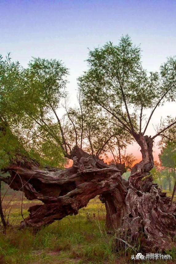 宝藏小众城市榆林,边陲古城榆林
