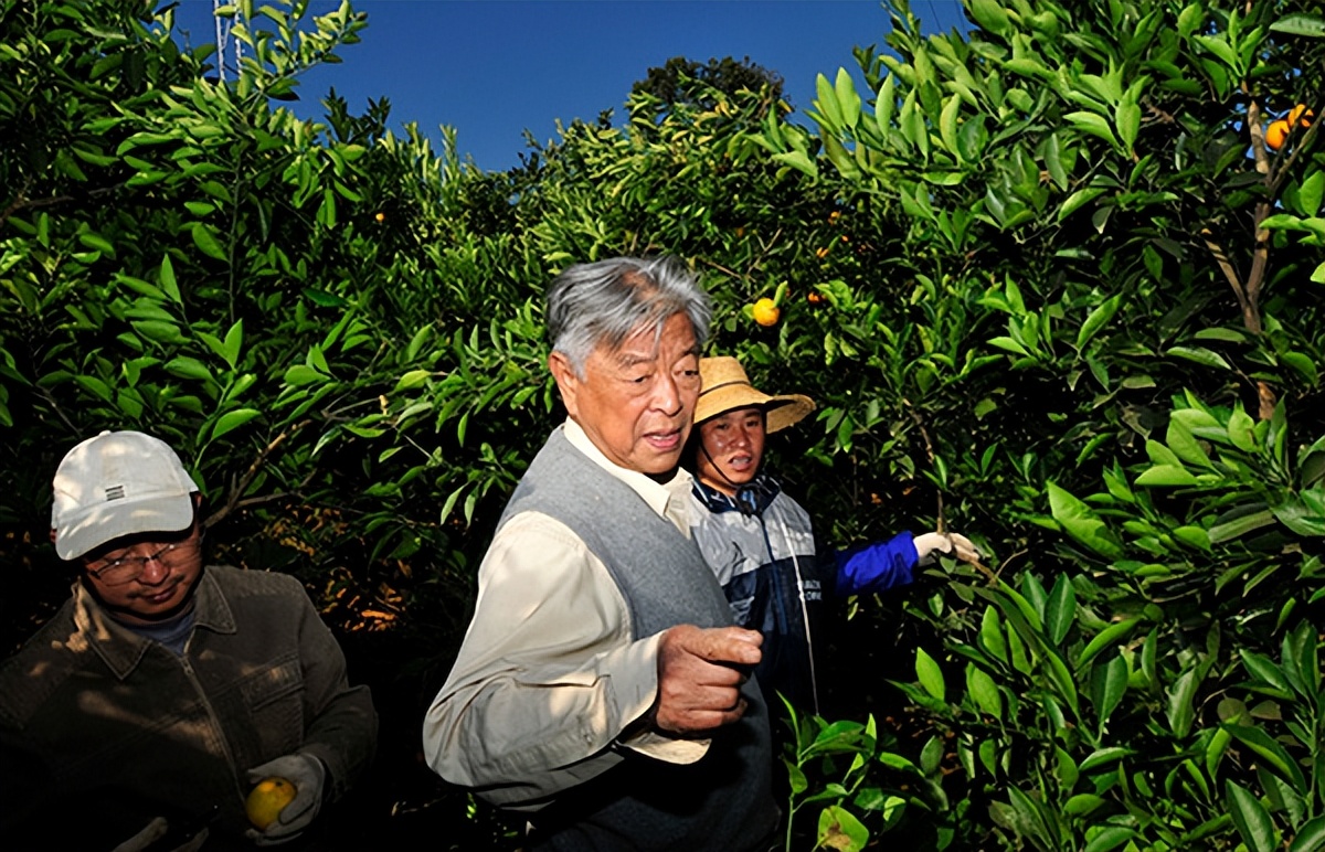 烟草大王褚时健为何入狱,50岁入狱73岁创业女版褚时健