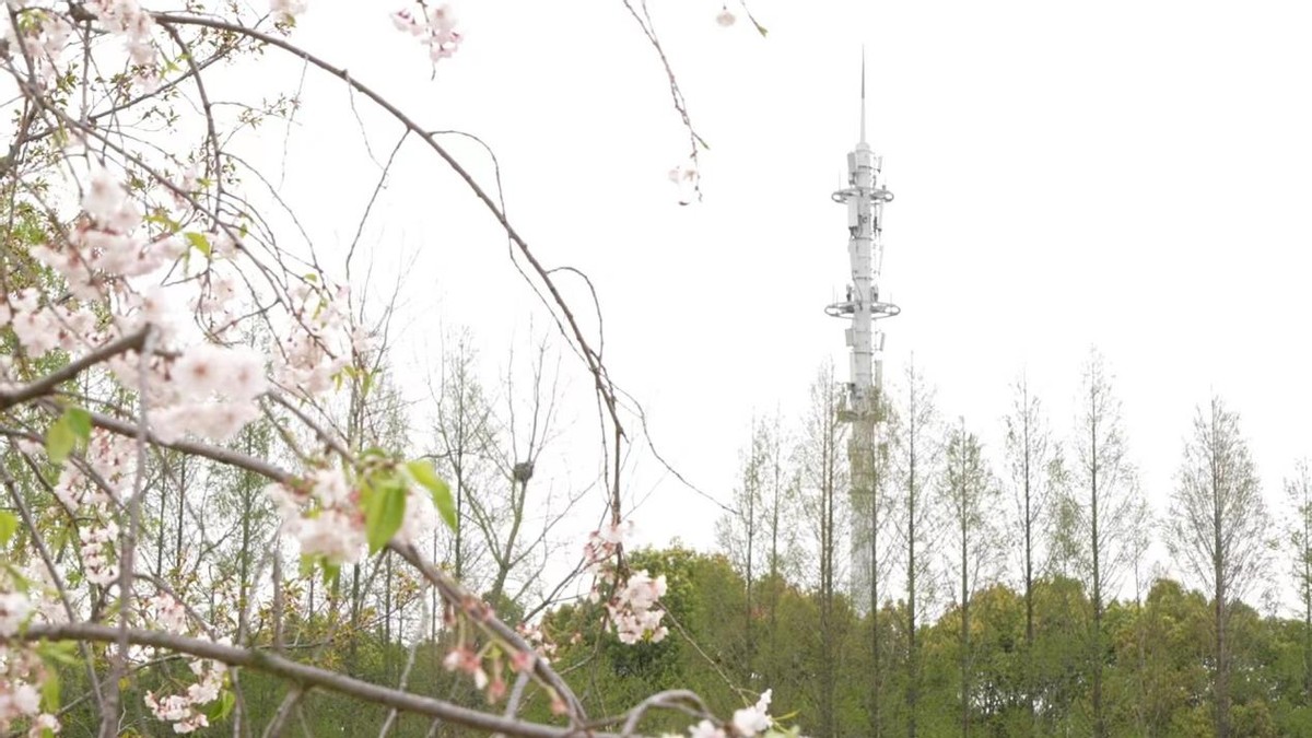 深耕四大维度讲解,深耕四载共筑美好