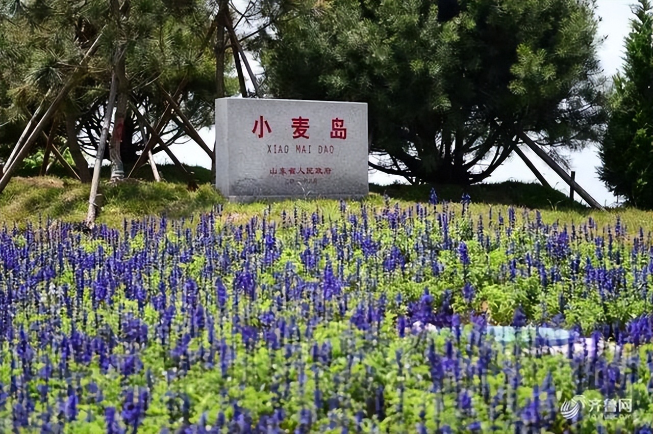 青岛有哪些好玩的免费的旅游景点,青岛有哪些免费的旅游景点可以玩