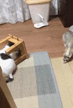 亮度调到最亮才能看懂什么梗,调高亮度才明白的梗