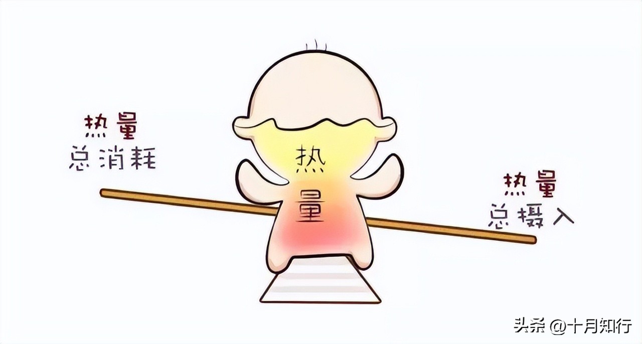 为什么节食减肥反而越减越胖,每个月节食减肥最多能瘦多少