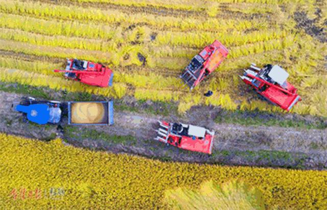 长春解封须知,长春解封条件是什么