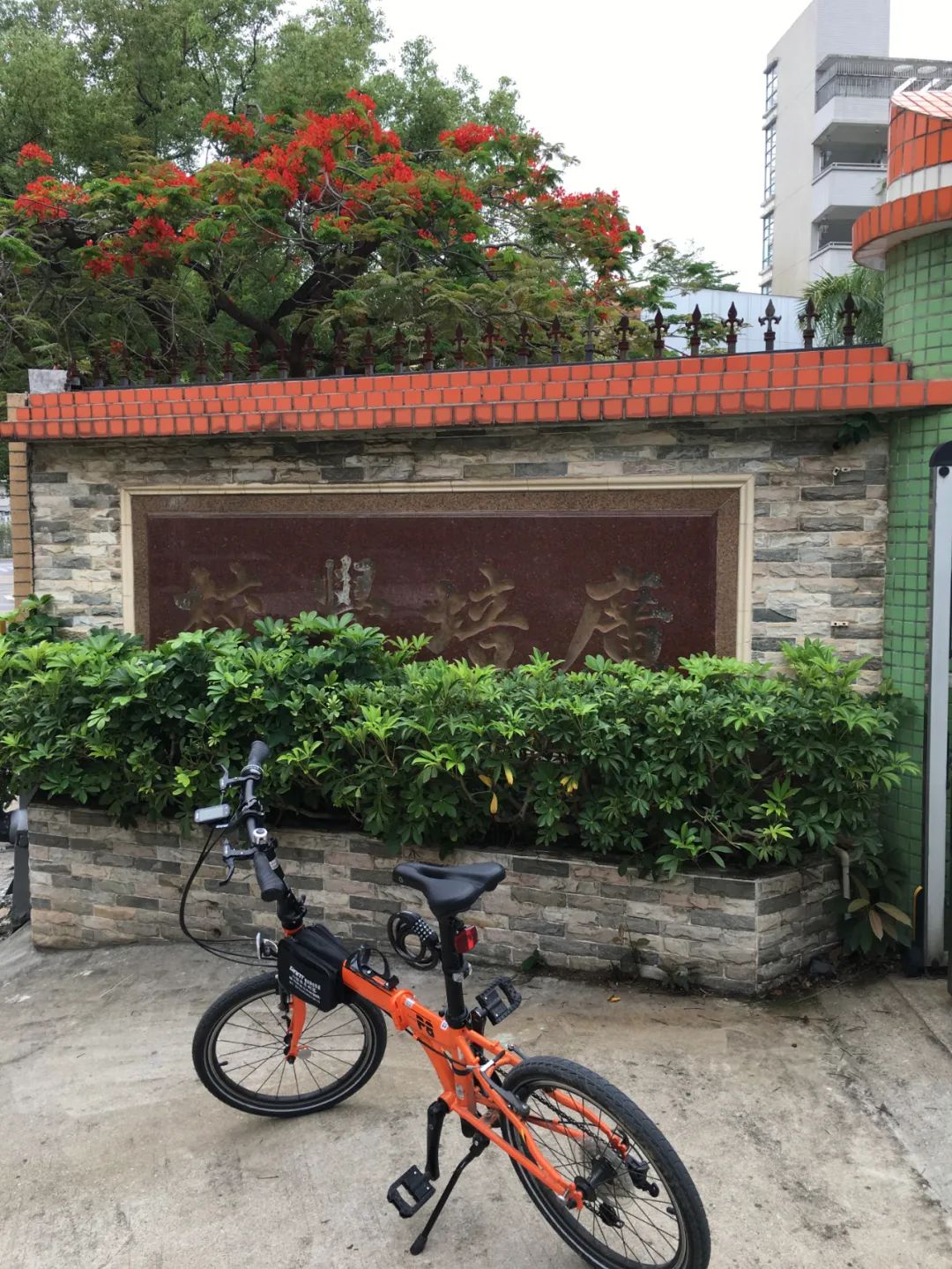 旭光电动车行,旭光车行向阳路