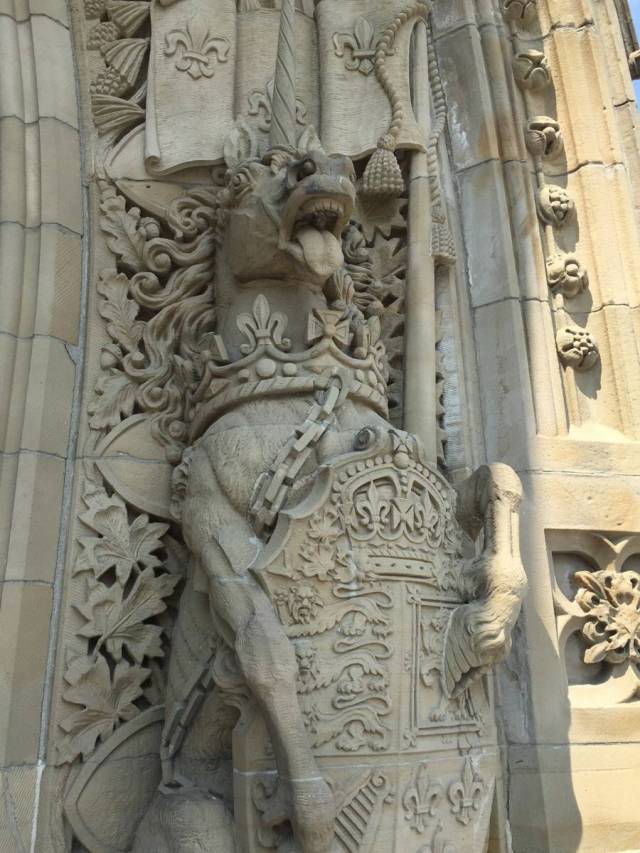 80个神奇的真实照片，不高兴的狗子，崎岖的铁路，倒立劈叉拉筋