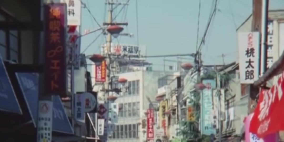 去世的网红二哈,网红二哈不见了