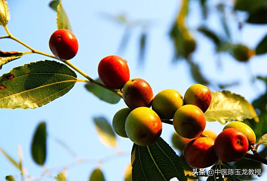 精神紧绷压力大睡不着？睡前一碗汤，养血安神，让你心放松甜入梦