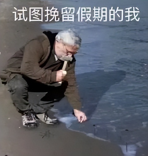 中外情感片推新来袭,人兽大战爱意浓郁?哭声大到邻居家直敲墙