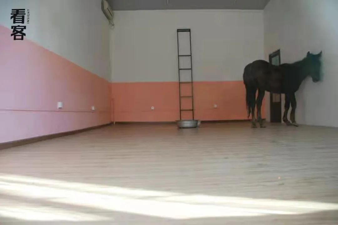 回龙观为啥称为睡城,回龙观以前是什么地方