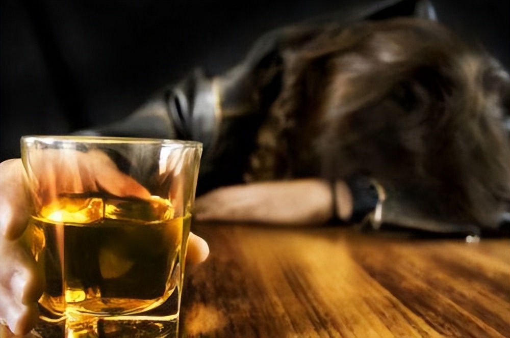 蜂蜜能解酒六大妙招助你解酒,生活小妙招蜂蜜水解酒