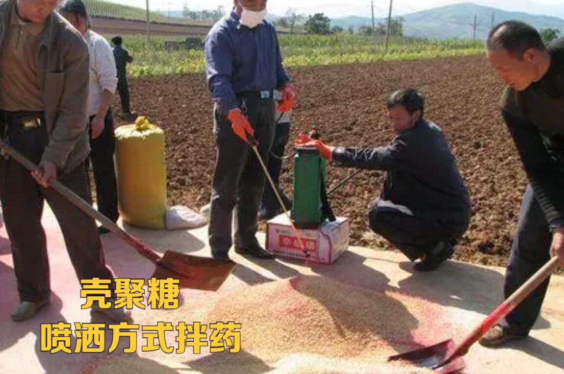 壳聚糖抑制作物病害案例,壳聚糖在植物上怎么用